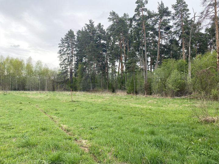 Участок 15 сот. (ИЖС)