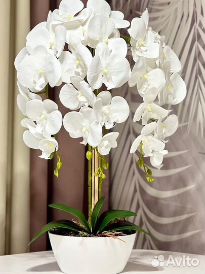 Орхидея фаленопсис для декора