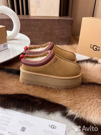 Угги замшевые UGG