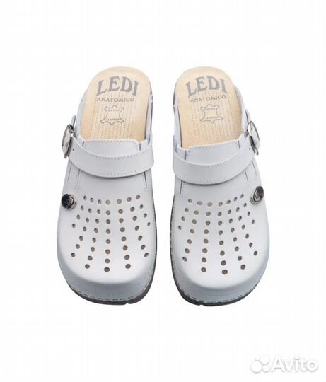 Сабо анатомические