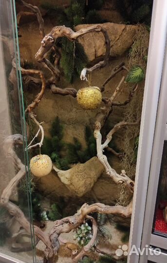 Террариум 80*45*195