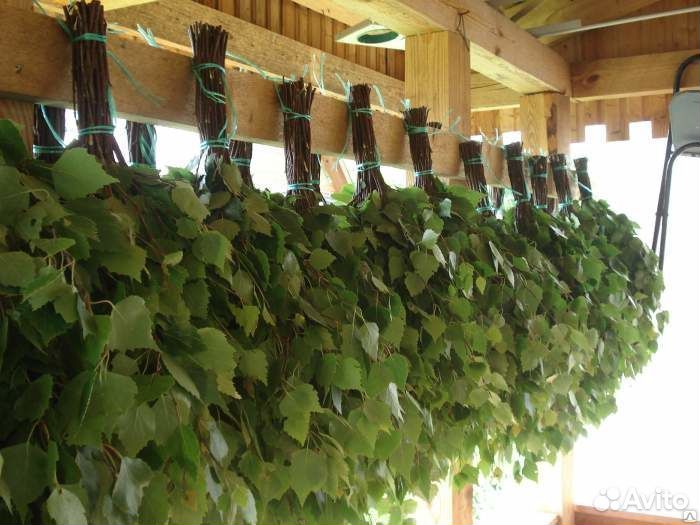 Веники для бани