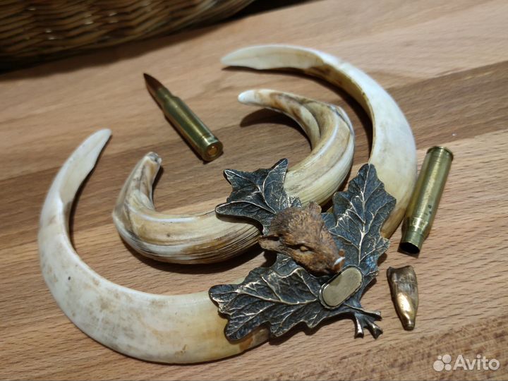 Таксидермия (чучело)