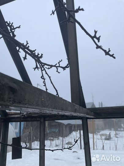 Теплица металлическая