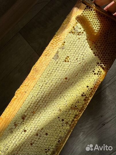 Мед цветочный с собственной пасеки