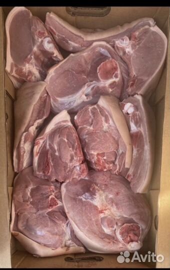 Мясо свинина свежая