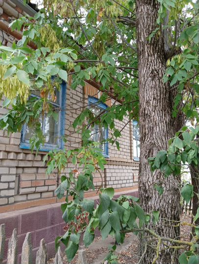 Дом 64 м² на участке 15 сот.