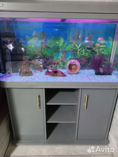 Аквариум