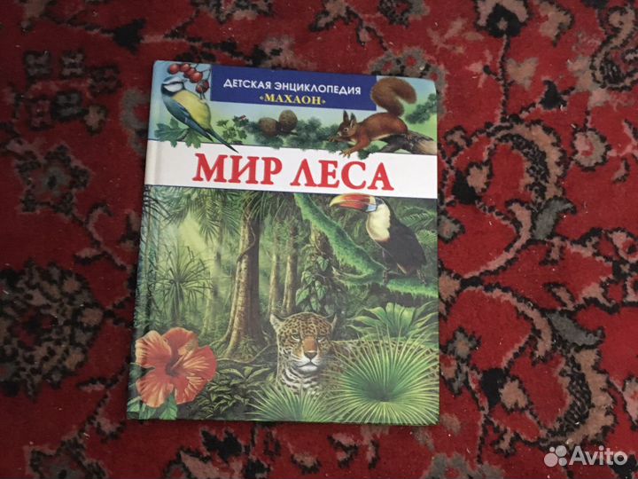 Детская энциклопедия «Мир леса» «Махаон»