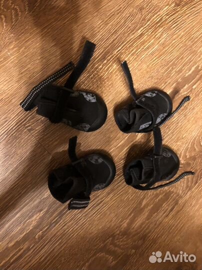 Обувь для собак