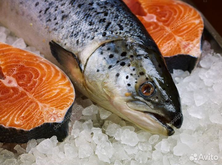 Купите готовый бизнес: магазин рыбы