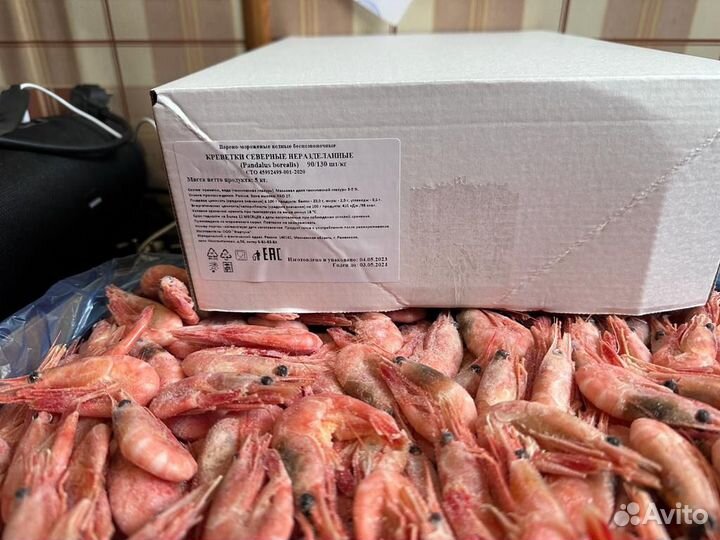 Креветка северная