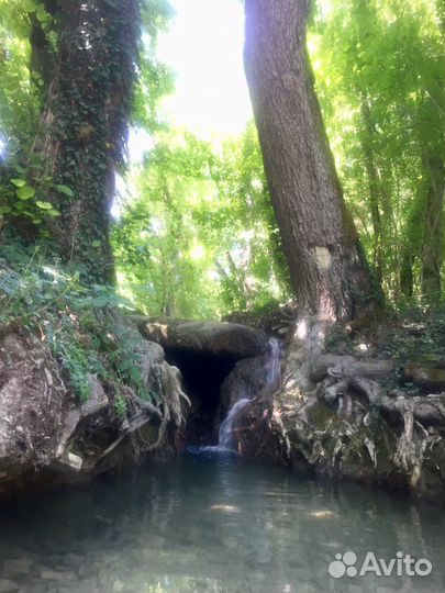 Баня на дровах с купелью