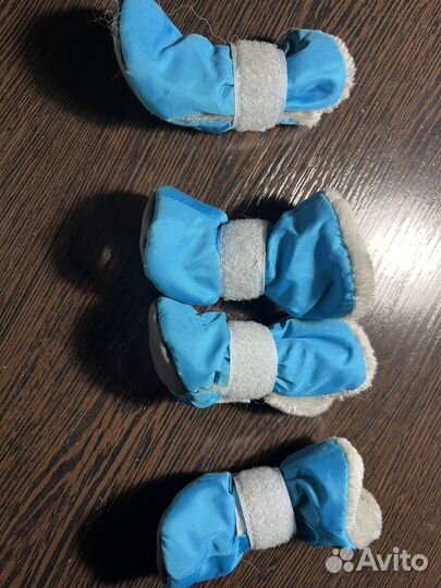 Зимние сапожки для собачки