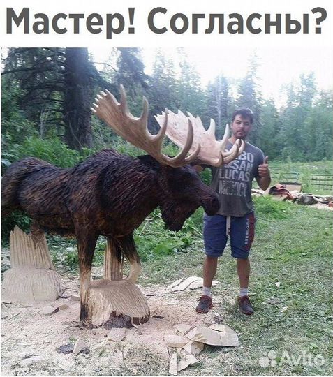 Рога лося.Рога для вина.Обмен