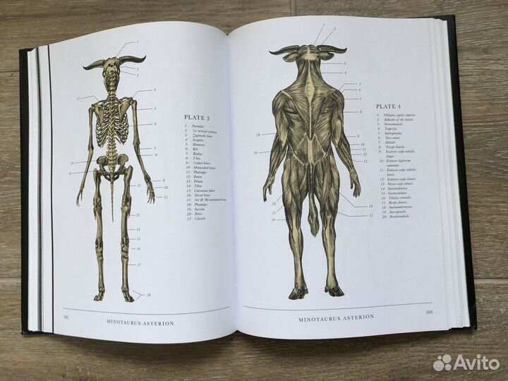 Книга на английском. Энциклопедия нечести