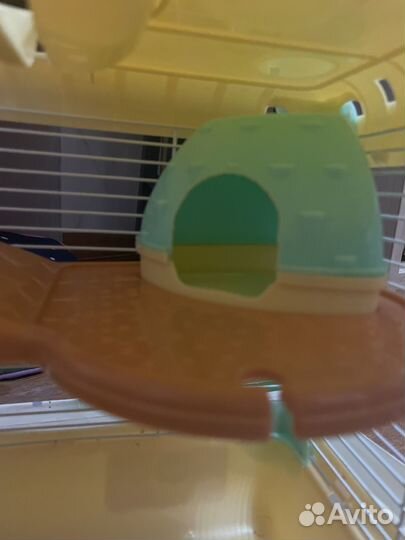 Клетка для джунгарского хомяка