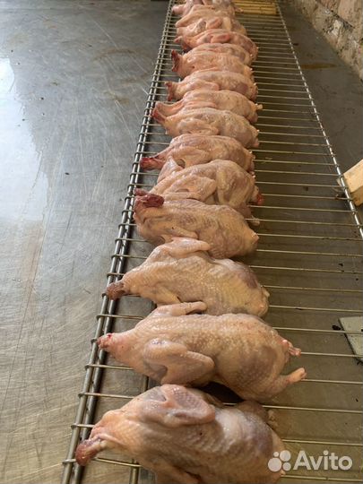 Мясо бройлера,домашней индейки,перепелов