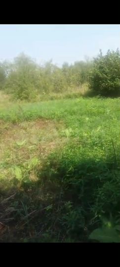 Участок 6 сот. (СНТ, ДНП)