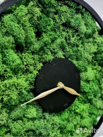 Часы со стабилизированным мхом