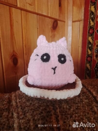 Pusheen cat