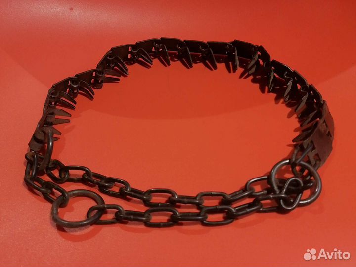 Строгий ошейник для собак