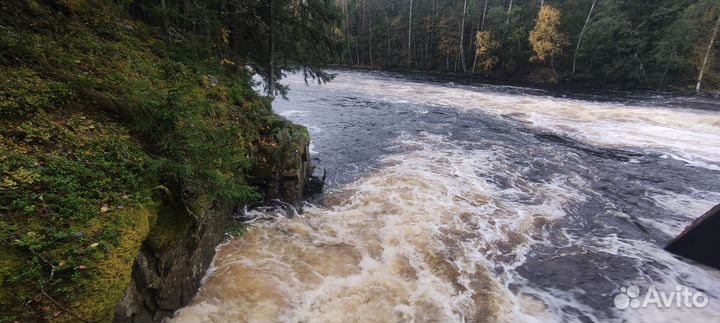 Такси, Экскурсии