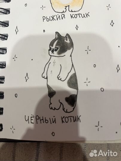 Нарисую вашего питомца по фото