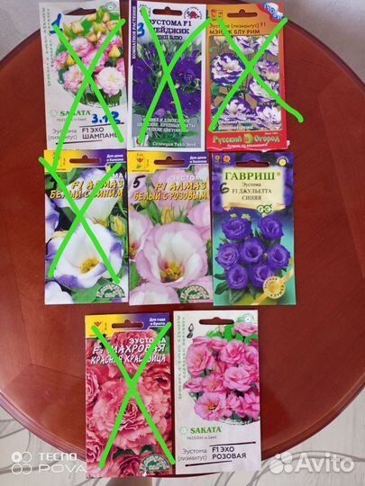 Эустома рассада