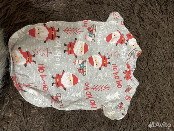 Вещи для маленьких собак