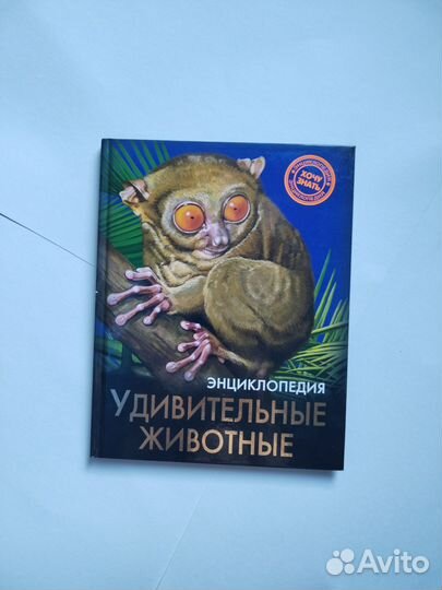 Детские книги энциклопедии