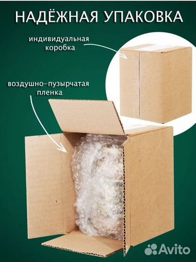 Чистейший мед Белой акации