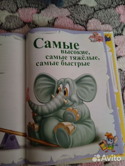 Книга считарь