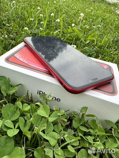 iPhone Xr, 128 ГБ