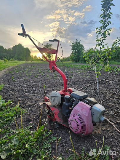 Мотоблок Салют