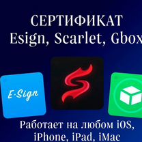 На iPhone сертификат