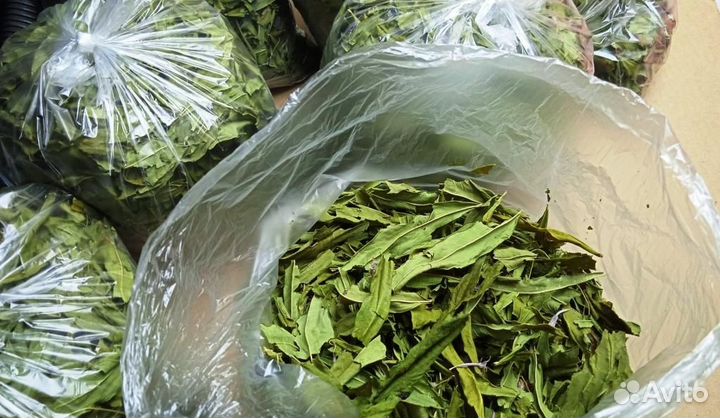 Зелёный Иван чай с цветами