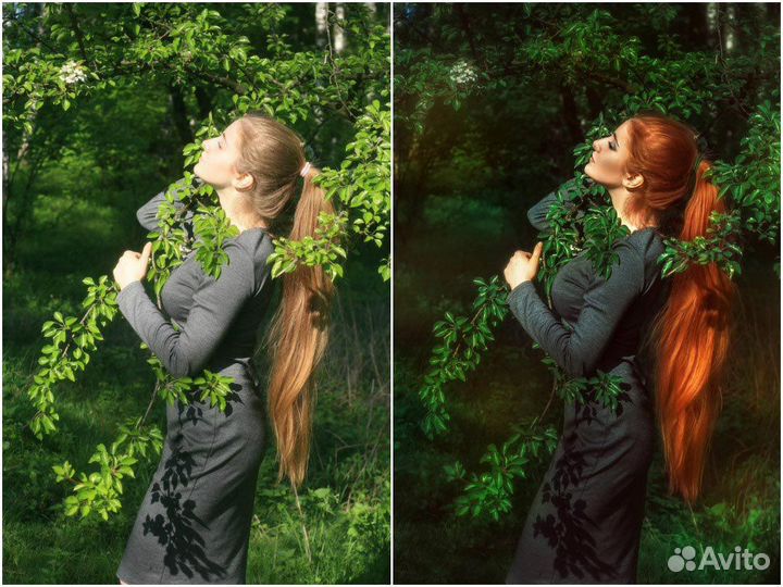 Курсы Обработка фотографии, курсы фотографии