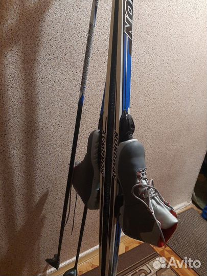 Беговые лыжи