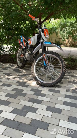 Kayo K1 2022