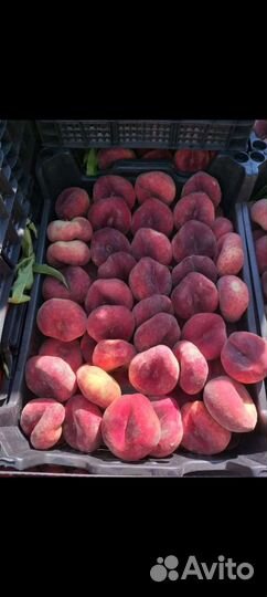 Персик инжирный