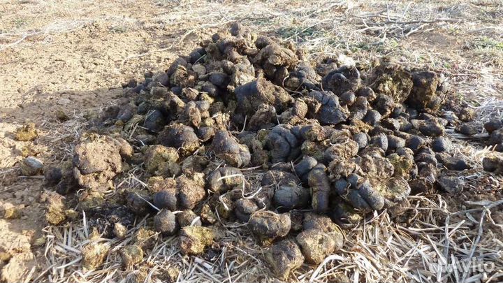 Конский навоз в мешках