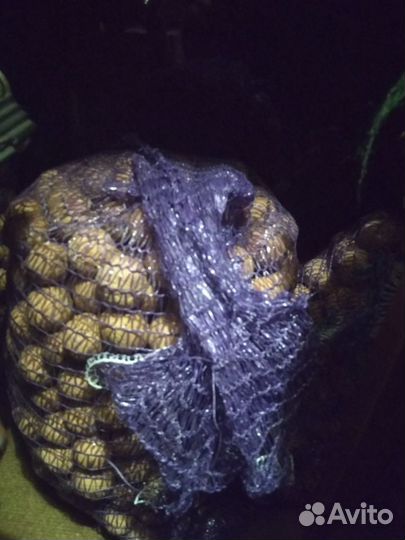 Грецкие орехи