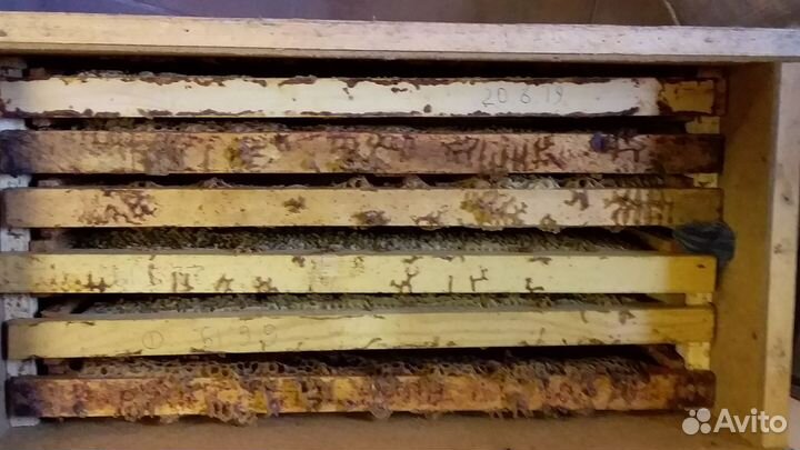 Рамки с сушью