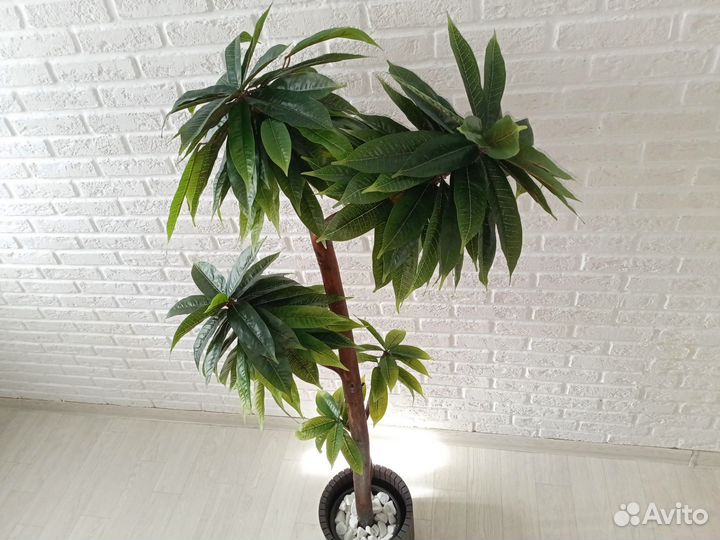 Искусственное дерево/Манго/Фикус