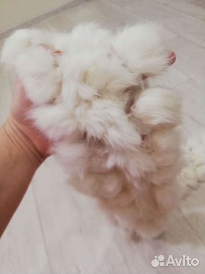 Новый шарф натуральный кролик