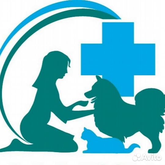 Ветеринарный врач на дом, паспорт быстро