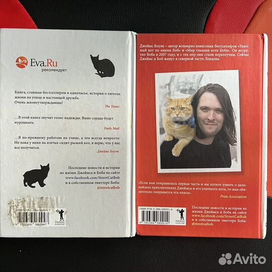 Джеймс Боуэн «Уличный кот по имени Боб»