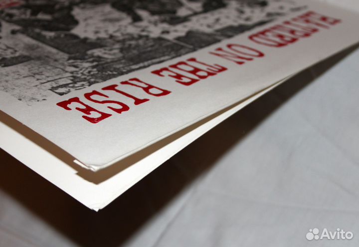 RF7 2009 Hatred On The Rise (punk, hardcore)