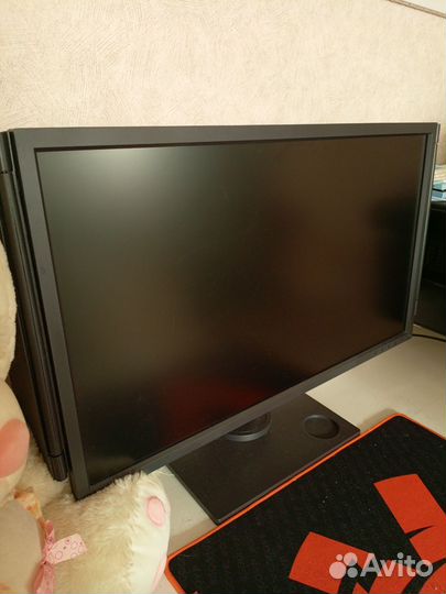 Монитор 240 гц benq zowie